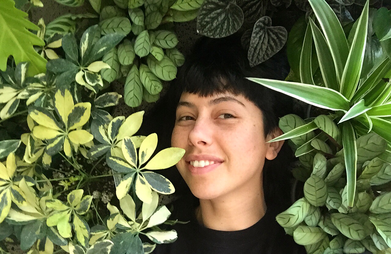 Hey, how about you stop letting all your house-plants die